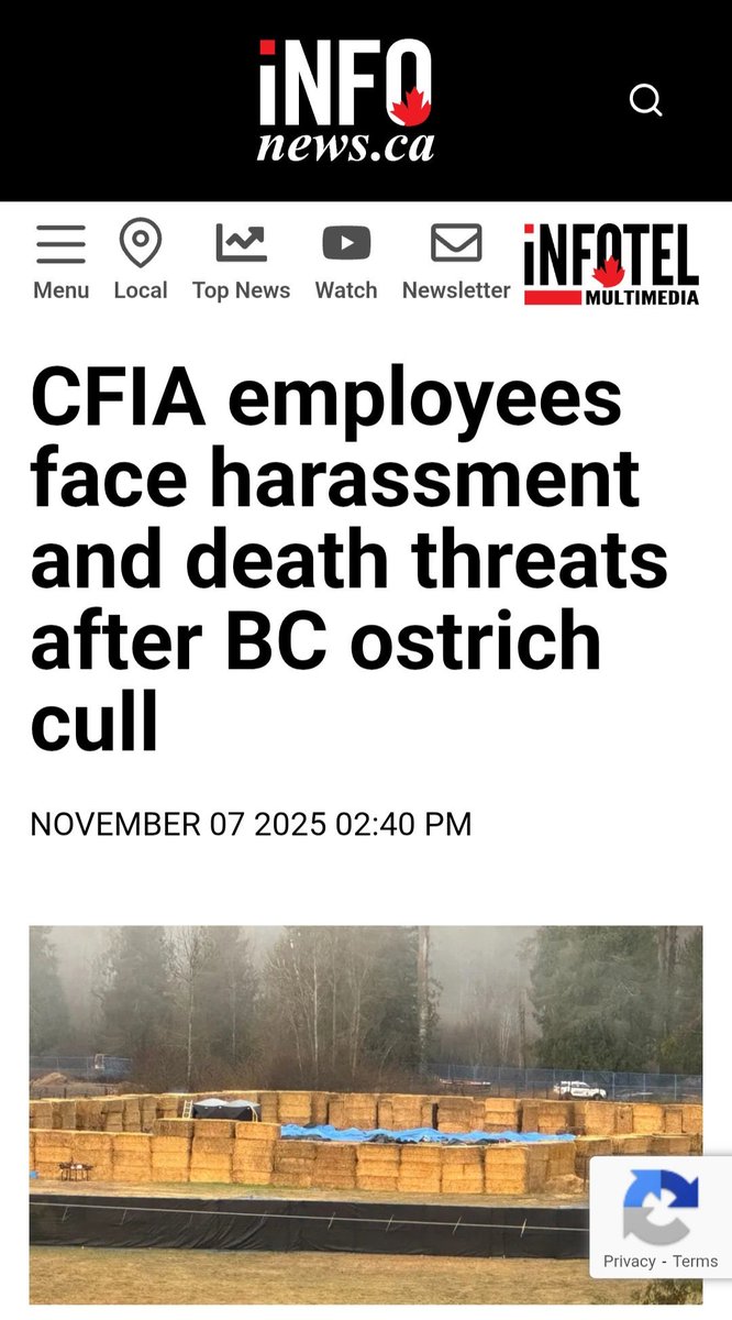 ezralevant's tweet photo. I call bullshit. 

This is pure DARVO — deny, accuse, reverse victim and offender.

It’s an attempt to stop their international PR implosion. 

It’s gaslighting.

And it explains why the police have been taunting and targeting the farmers and their allies for the past 48 hours. https://t.co/2XNwCieoMe