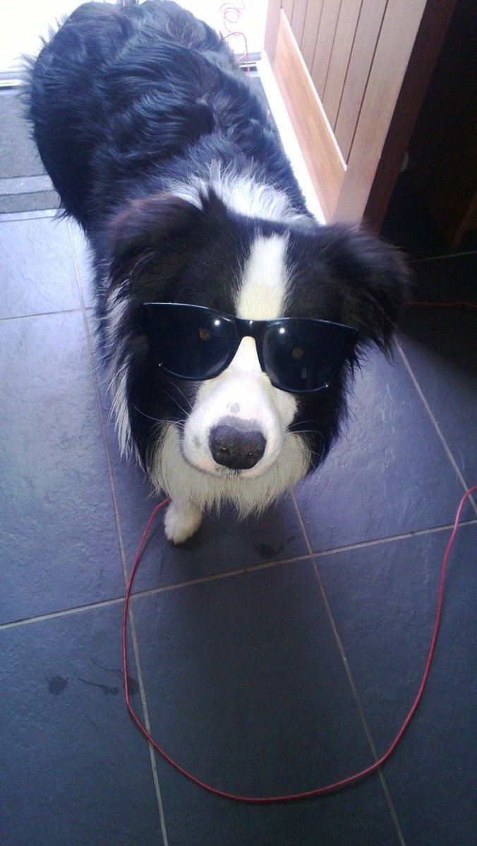 its him ... the ... phresh dog swag ...