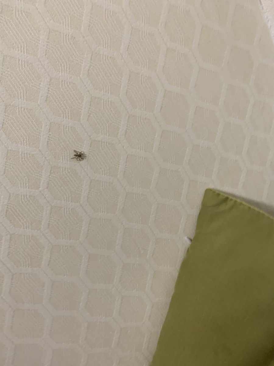 お前と過ごしてもう何週間なんだろうな