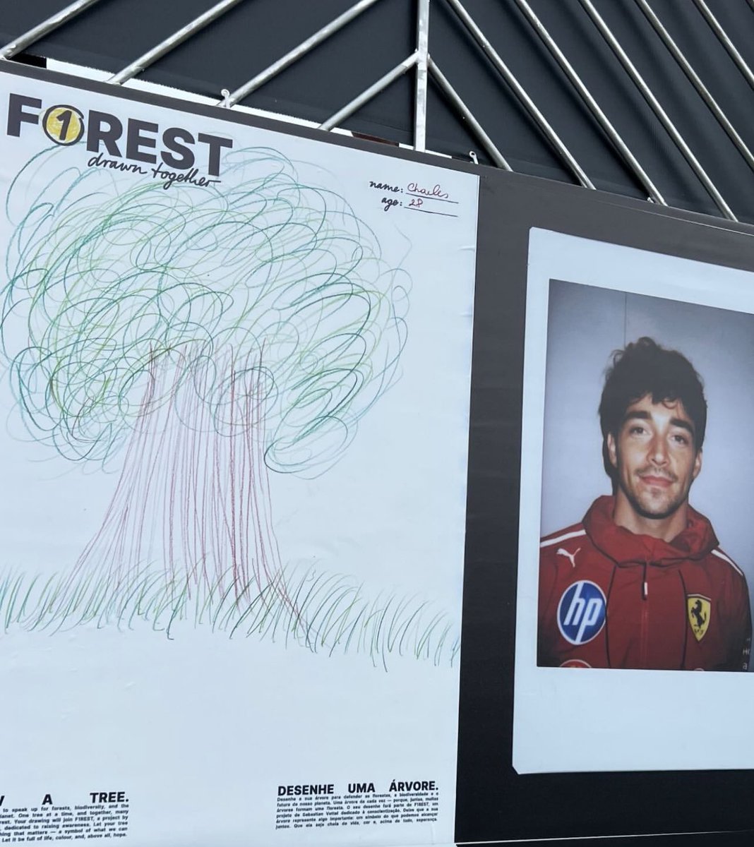 haollywood's tweet photo. f1 drivers and their tree drawings for vettel's forest project https://t.co/hdicvyQr6X