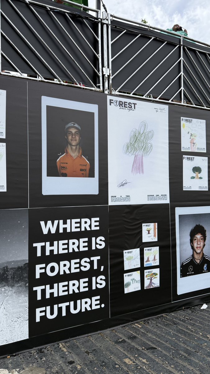haollywood's tweet photo. f1 drivers and their tree drawings for vettel's forest project https://t.co/hdicvyQr6X
