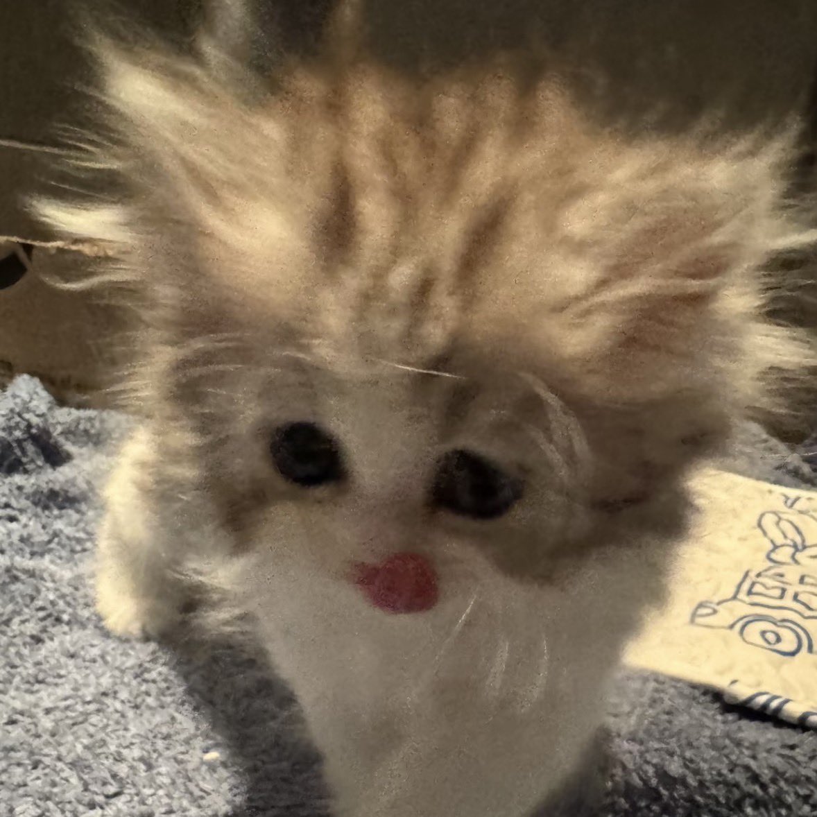 godxftxvn's tweet image. ที่รักหนูสวยจัง                                            คะ!?