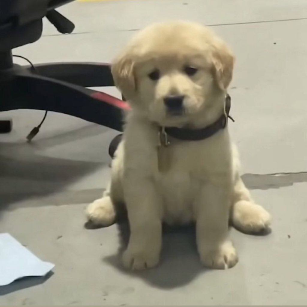 godxftxvn's tweet image. ที่รักหนูสวยจัง                                            คะ!?