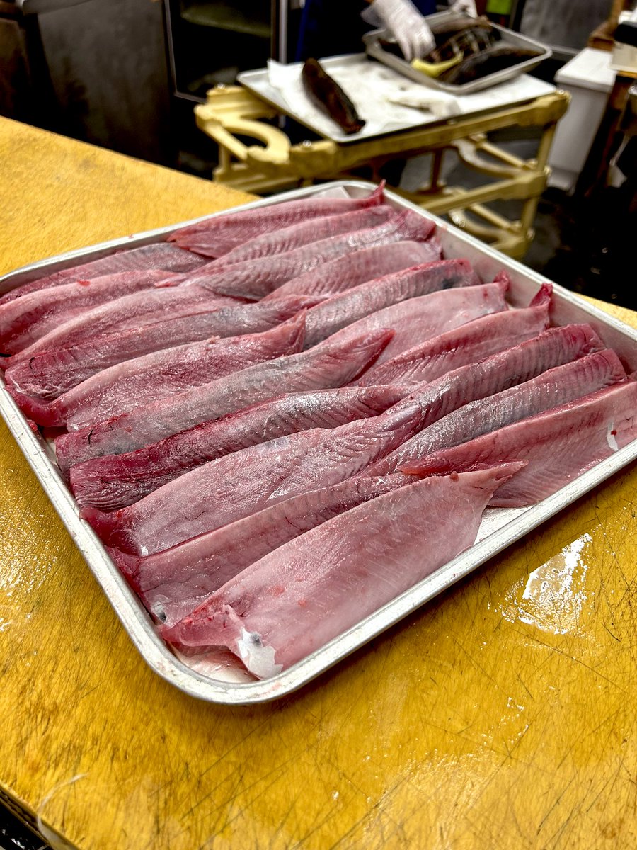 katuo2go's tweet image. 鰹以外の魚はこんなところでした。