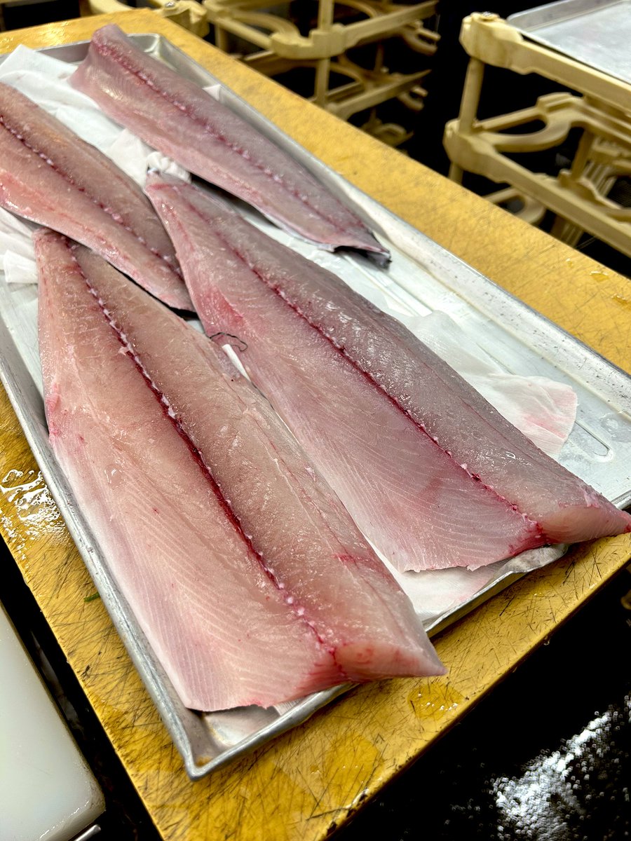 katuo2go's tweet image. 鰹以外の魚はこんなところでした。