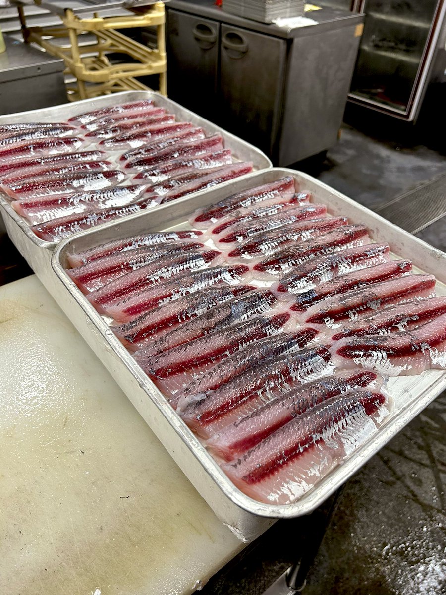 katuo2go's tweet image. 鰹以外の魚はこんなところでした。