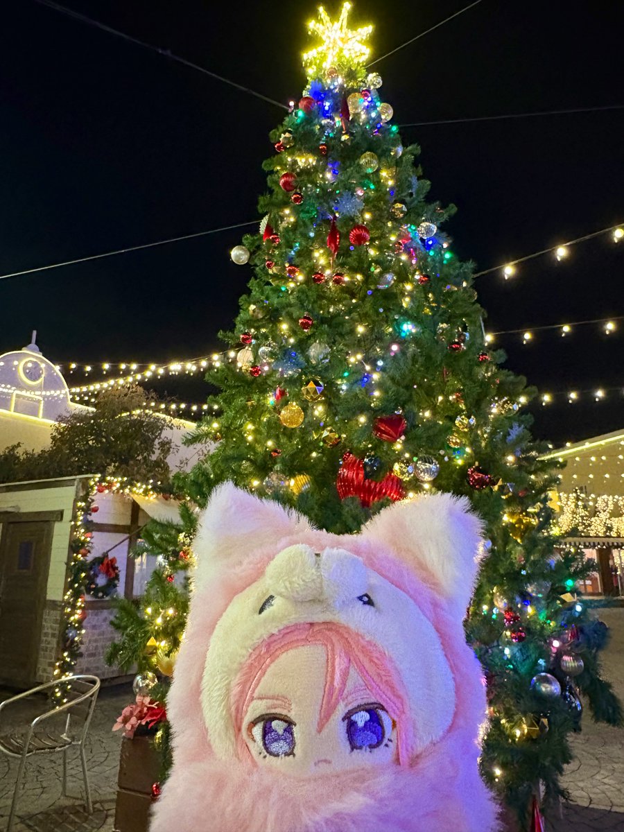 uinust's tweet photo. イルミネーションがなんなのかよくわかってなさそうなペット写真 https://t.co/zNxJ0OtNhm