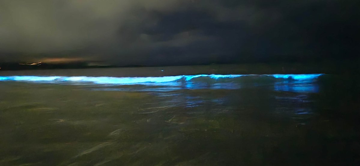 Namzzy123's tweet image. Glow in the dark water 🫶 #nofilter