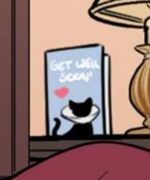 BatcatPosts's tweet image. So cute ❤️‍🩹