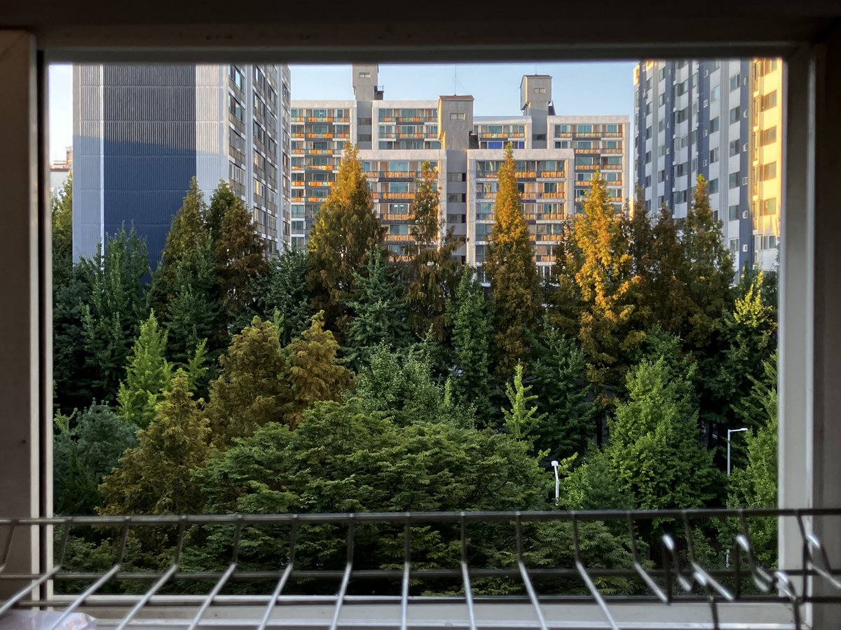 우리집 싱크대 앞 창문뷰 자랑하겠습니다