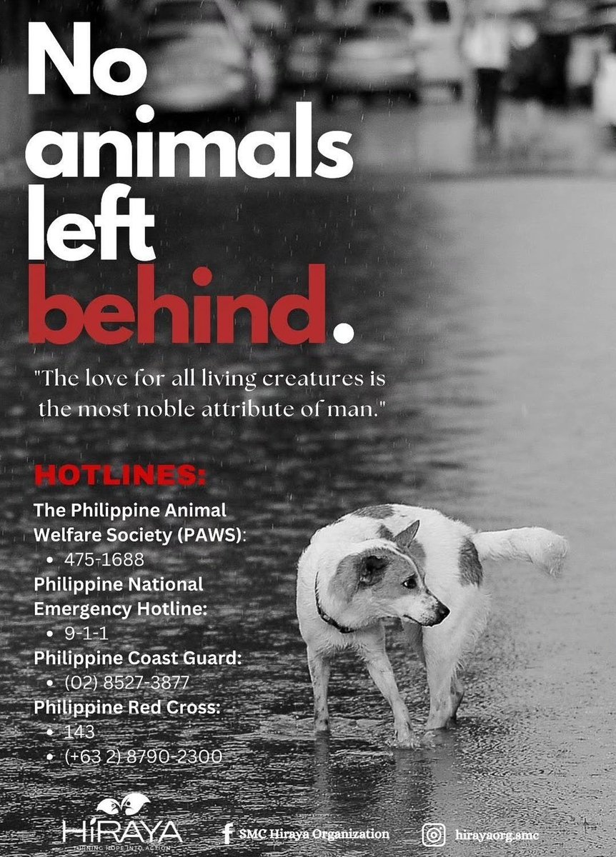 GENEfextPH's tweet photo. Be alert and stay safe Filipino DREAMERS!

Please share and save the emergency hotlines on your phone, to contact incase of emergency. Evacuate if needed and please don’t leave your pets behind.

May this storm pass quickly and the sun shine brightly again 🙏 https://t.co/Mr2TLnqgMu