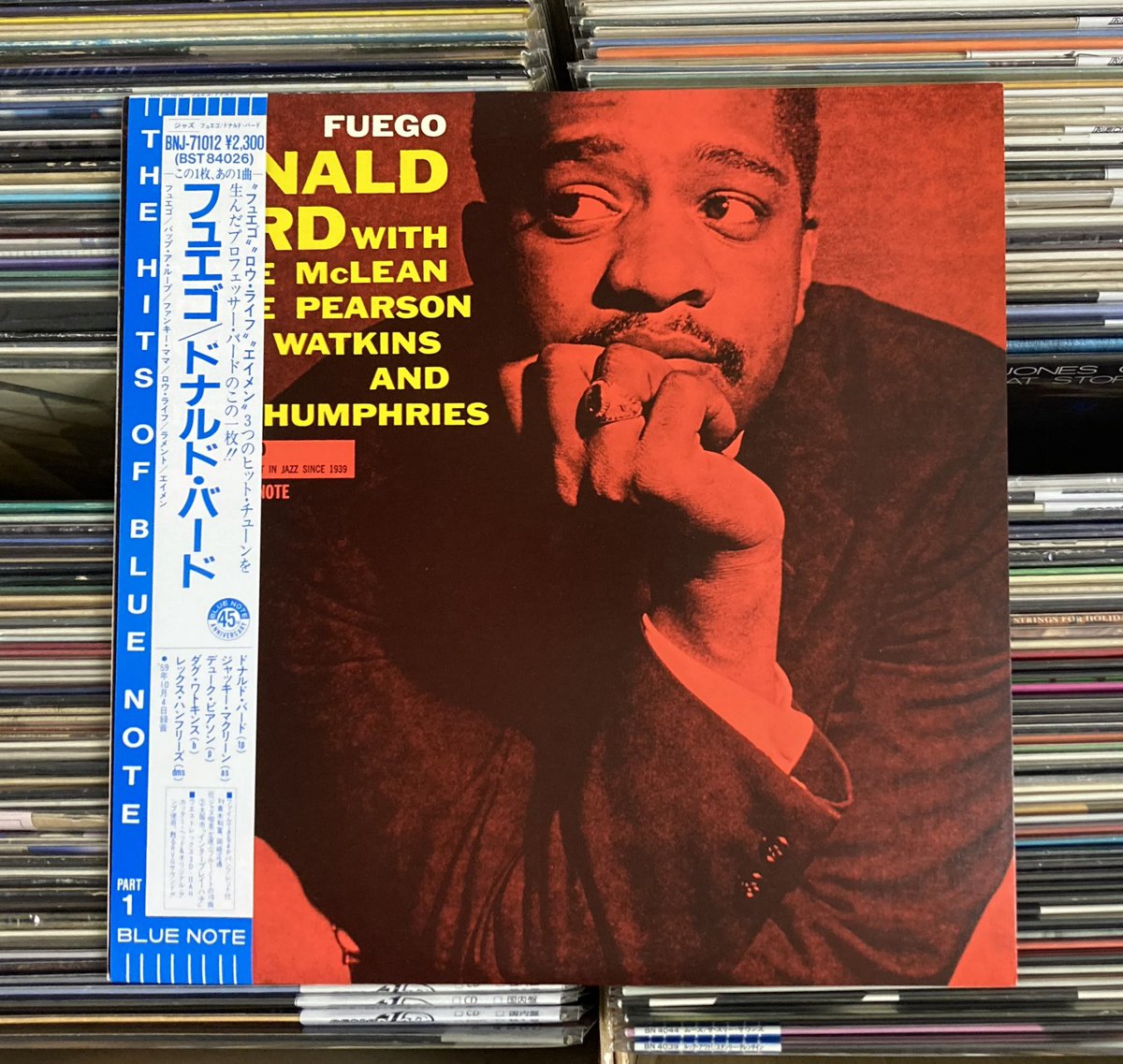 ミュージシャン (Neige) レコードワン on X