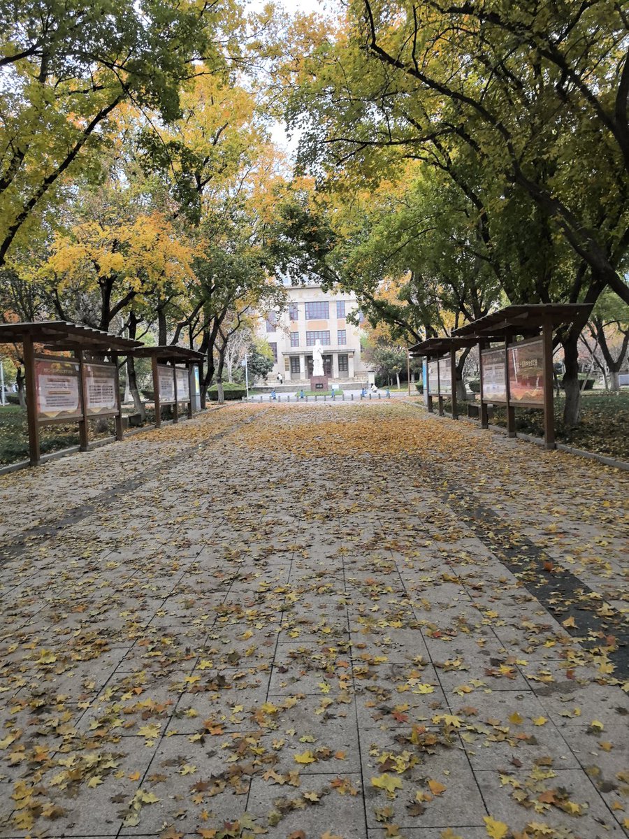 冬が来たら、あなたのままで私のままです😥