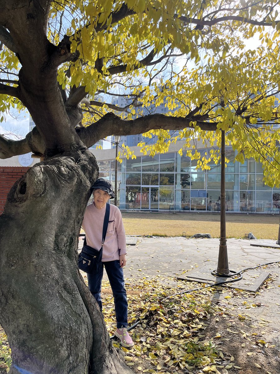 대구 동구 ‘레이틀리 92’ 카페
애기들 데리고 온 낯선 분이 우리가 보기 좋다며 자청해서 사진을 찍어 준다. (첫째 사진)
노부부가 금실 좋게 보인 모양이다. 
실은 젊은 날 무관심의 댓가를 혹독하게 치르는중인데. ㅋ
‘레이틀리 대왕돈가스 더블랙’
량이 생각보다 많아 돈까스 2/5 포장해옴