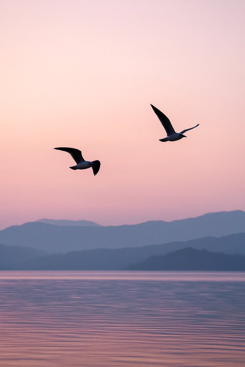 PreetiRel's tweet image. I speak in action–
in learning his language,
in showing up
even when the miles stretch

He speaks in presence–
in the way he stays,
in the rhythm of his replies,
in the quiet that still holds me

We love
in different dialects
And some days,
that is enough

#vss365 #language