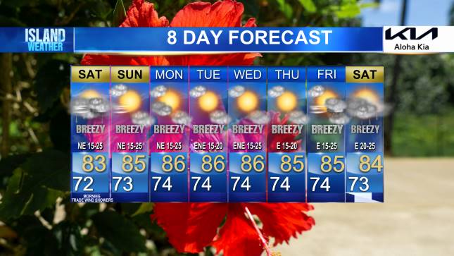 zero_damns's tweet image. 😆cute (&amp;amp; true)✅ ~
but our days are a tiny bit🤏🏾warmer at the moment😉
..but no worries, we don&apos;t mind #pettyparadise😎🏝️
     #weekendvibes🤸🏾‍♀️🏖️

#pettyproblems🫦💅🏾 #saturdayvibe💫💃🏾🌴 #taurus👑 
#november2025🤎☯️ #goodvibes😘🎵🏝️