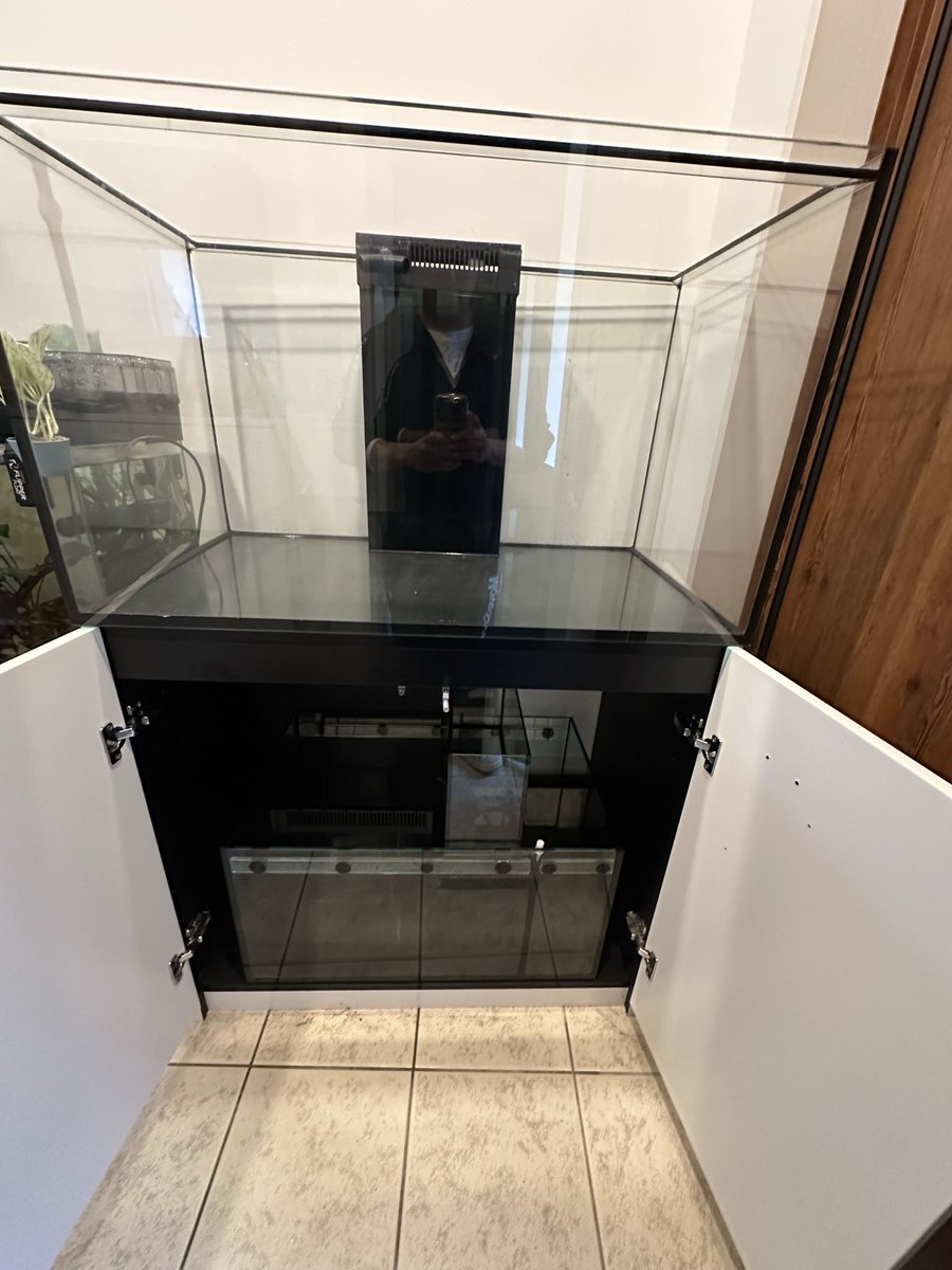 Reef_Gardens ぷきち (@Pukichi0609) / Posts / X