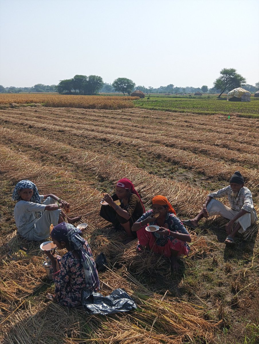 #SpiritualSunday आज खेत में ब्रेक के बाद चा नाश्ता कर रहे हे हम