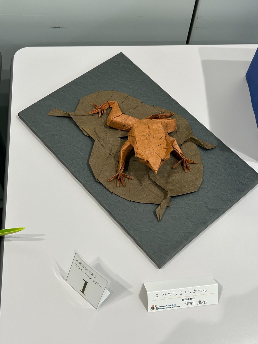 kameikohe's tweet image. 12/13、14の折紙探偵団名古屋コンでは昨年同様創作コンテストを行います。事前登録は不要なので当日直接お持ち込み（コンベンション参加登録は必要）。当日参加者の方からの人気投票で最優秀作品を決める予定です。未発表の創作作品をお待ちしております。写真は昨年の様子。

anabas-plan.net/joas_toukai/