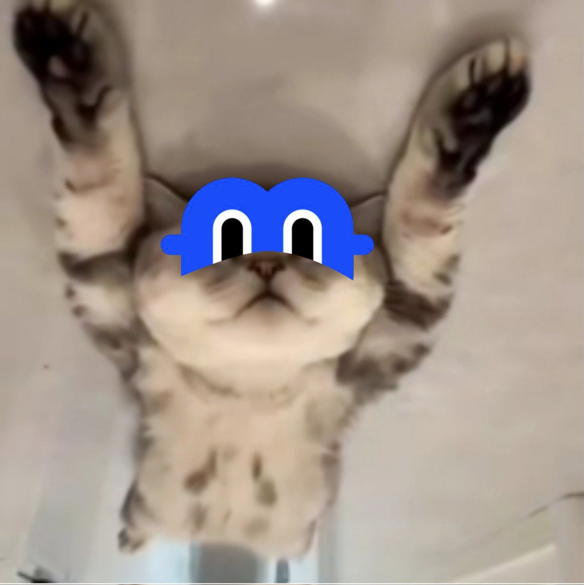 GM gBillions everyone 💙

Can I get a gBillions back ? 
Starting my day by posting about <a href="/billions_ntwk/">Billions</a> 
Have a good day all !!