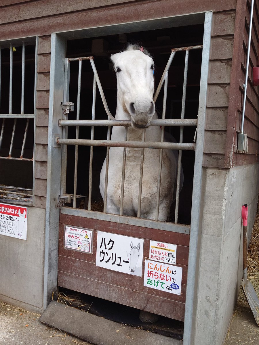 ボートレース福岡【公式】 on X