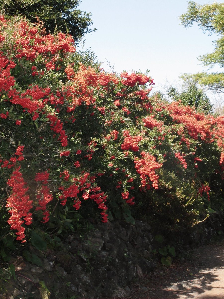 NONAME (@xdoubleplusx) on Twitter photo 