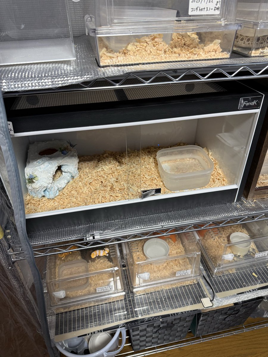 オルタ (@Uutk9wccqRDnmM8) / Posts / X