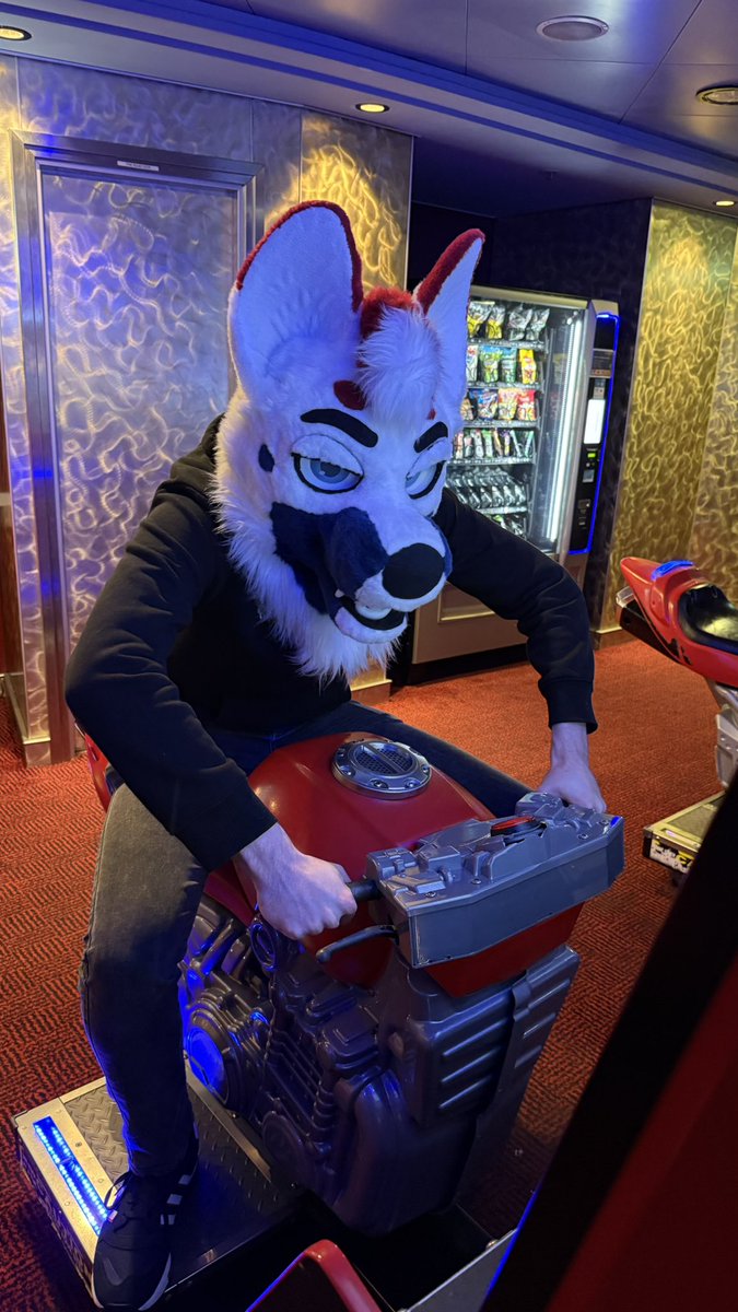 Ruswarp 🔜 Maspups 🇪🇸 tweet media