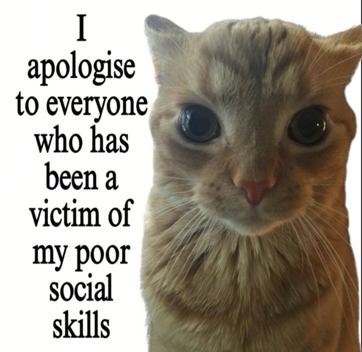 This is literally <a href="/elonmusk/">Elon Musk</a> lol, in a good way tho