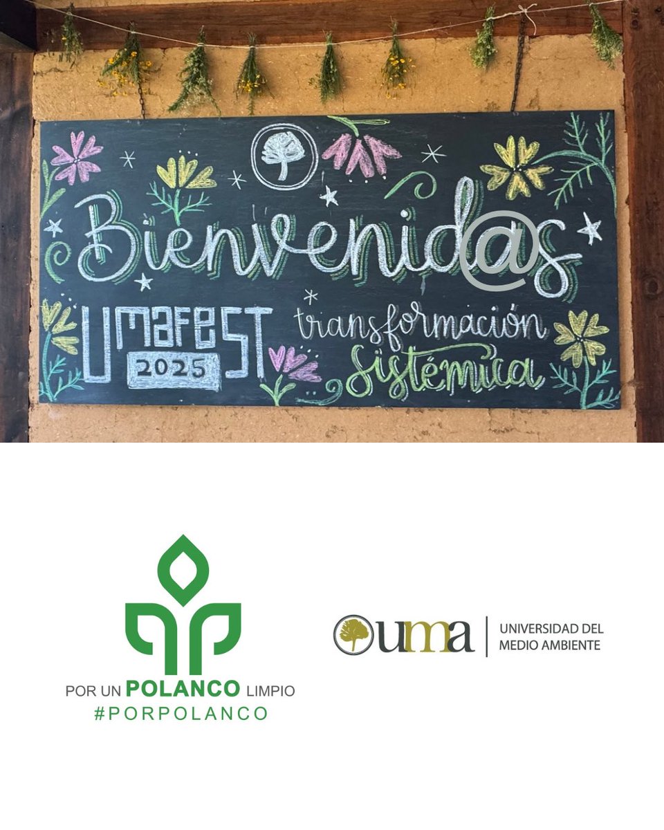 PorPolanco's tweet photo. Día increíble, con gente increíble en un lugar increíble.
UMAFest 2025 hacia el Bienestar Intergeneracional.
Gracias a la UMA por crear y creer en estos espacios de Networking, Conciencia y Acción. 🚯🗑️♻️

#PorPolanco https://t.co/H1lQ7tZtGF