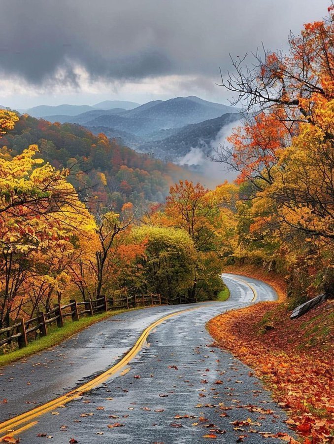 #Καλημέρες #κυριακάτικες πρωινές και νοτισμένες... ☕
Αν έχετε εκδράμει σήμερα, ανήκετε στους τυχερούς... 🍁
Χαρείτε τη φύση και την αξεπέραστη ομορφιά της... 💚