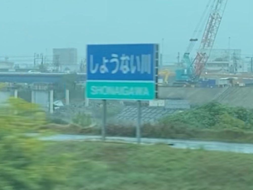 橋三枝子 古橋つちこ on X