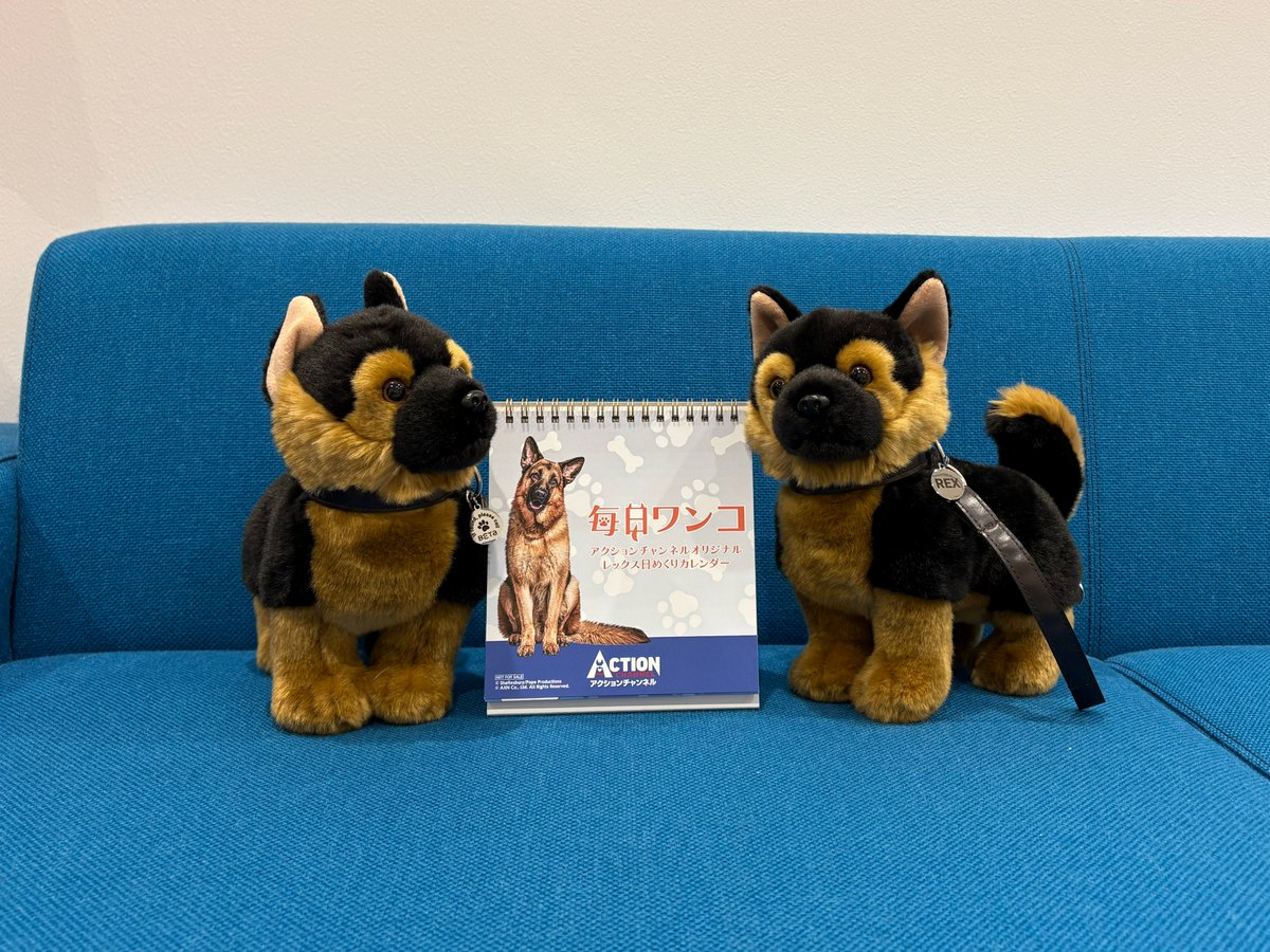 アクションチャンネル（旧AXN 海外ドラマ） on X