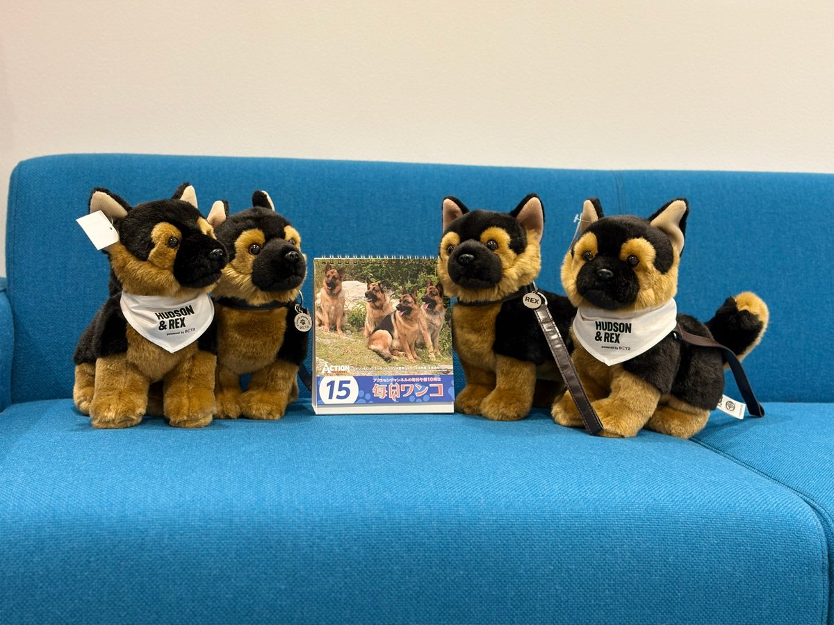 アクションチャンネル（旧AXN 海外ドラマ） on X