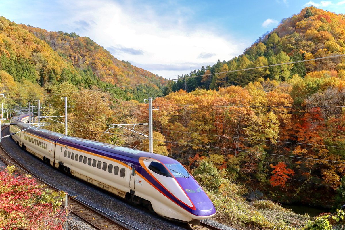 ジンベエ6点まとめ Vintage Stompbox Gallery］Shin-ei Octave Box - YouTube