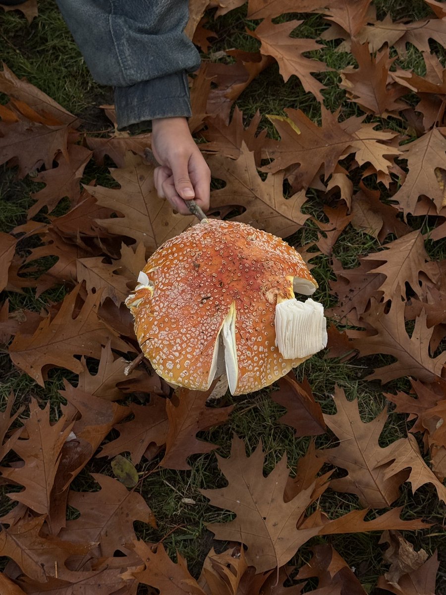 longwinter___'s tweet image. 가을입니달라