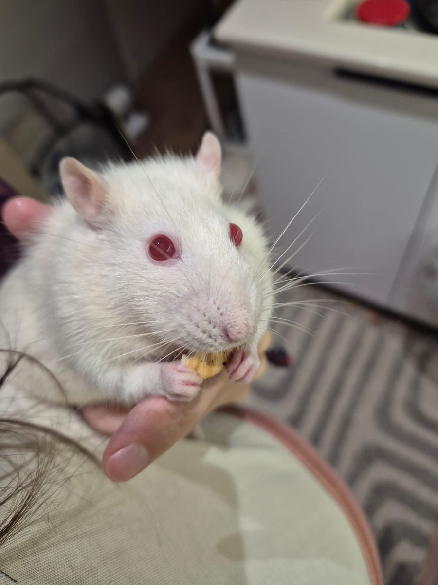 Штош,а я не удивлен