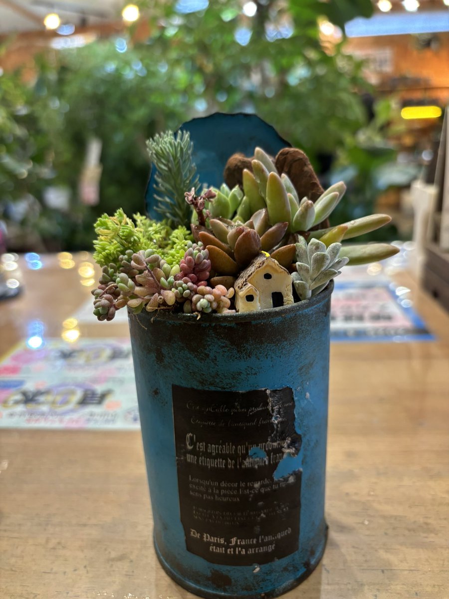多肉植物 寄せ植え (⑅•͈૦•͈⑅).ᐟ.ᐟゴブレット 多肉植物 寄せ植え