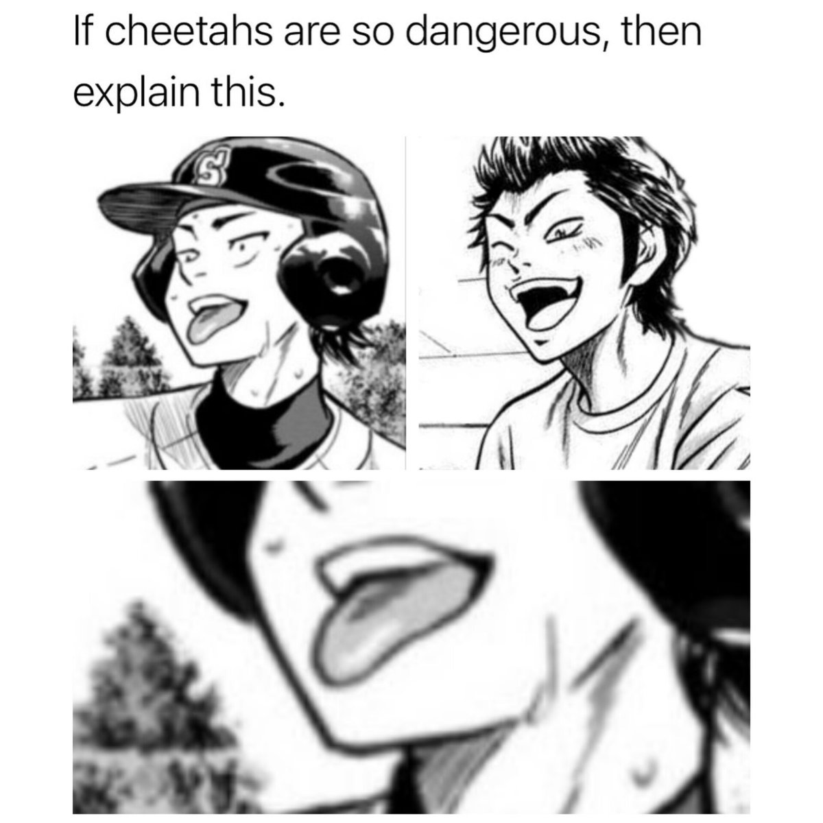 New baby fanyu!! (@yuzu_mylight) on Twitter photo 