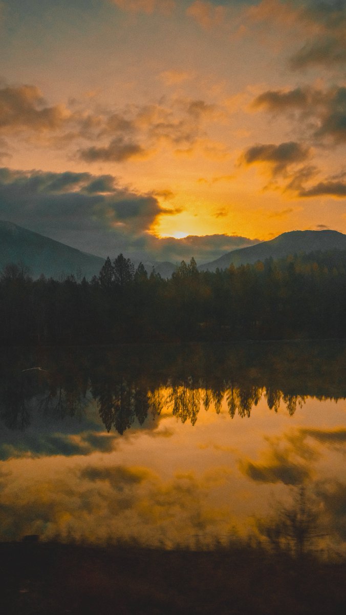 sarah smith smizz ✏️✏️✏️ スミッツ tweet media