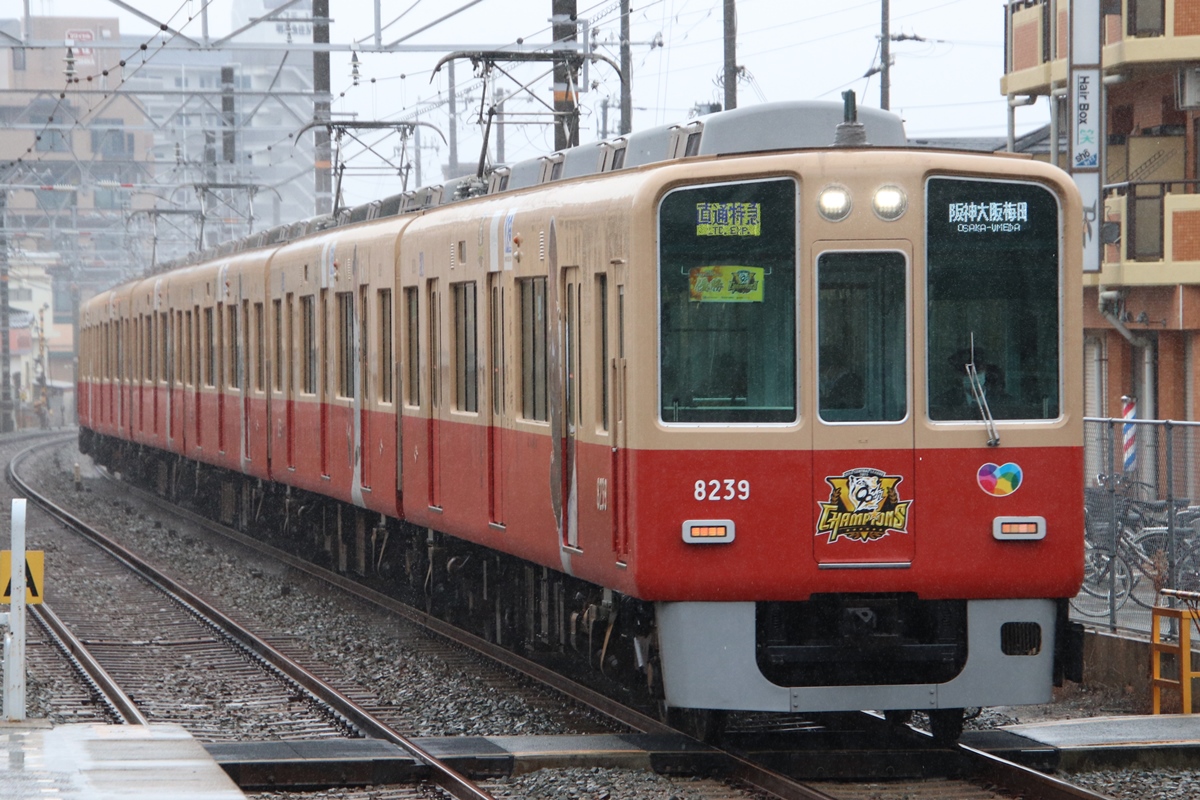 ★パピヨン①〜⑨★ Y's BORN PRODUCT] COTTON TWILL CUT LINE KNEE PANTS(XS Mocha