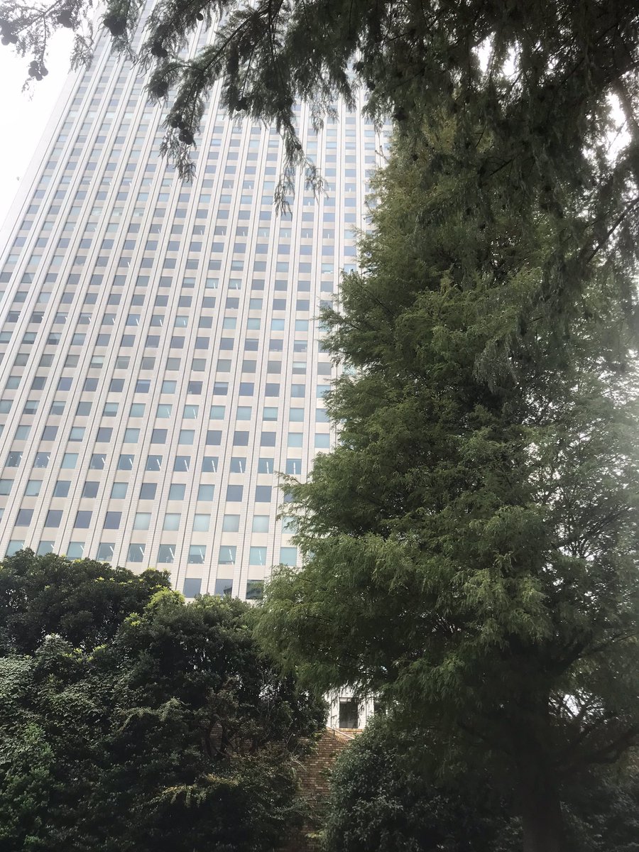 今公園　誰かいますか？