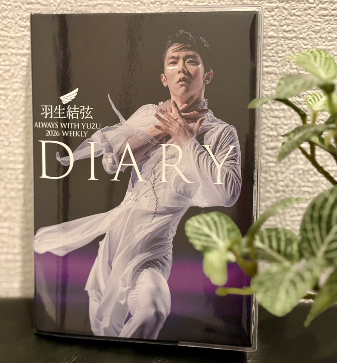 すずめさん🪽 (@8246nyan) / Posts / X