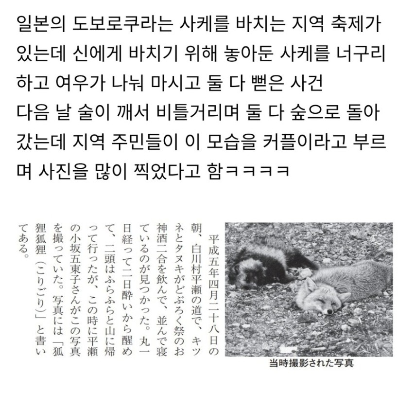 화접 tweet media