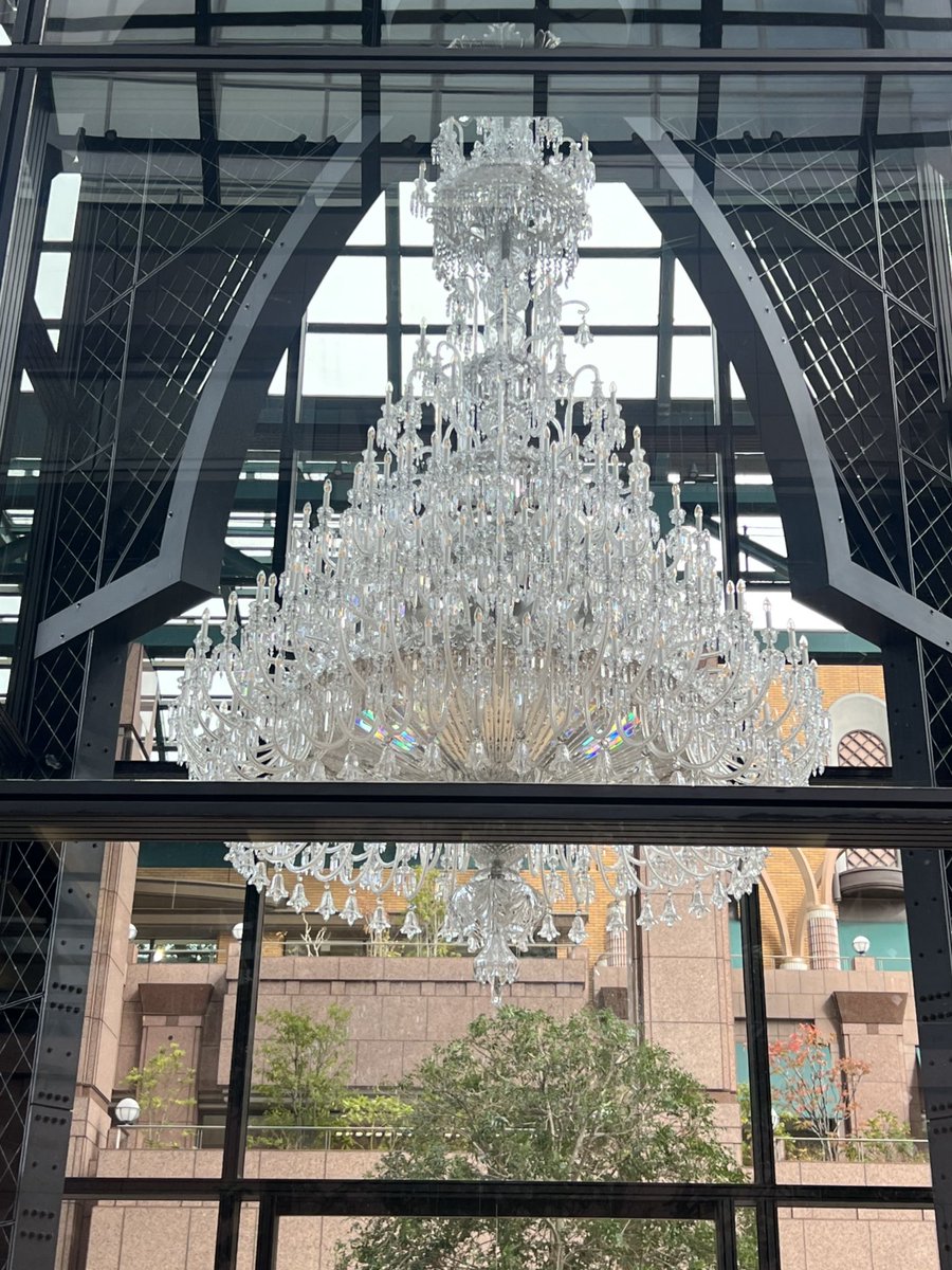 ママわん🌱👽 on X