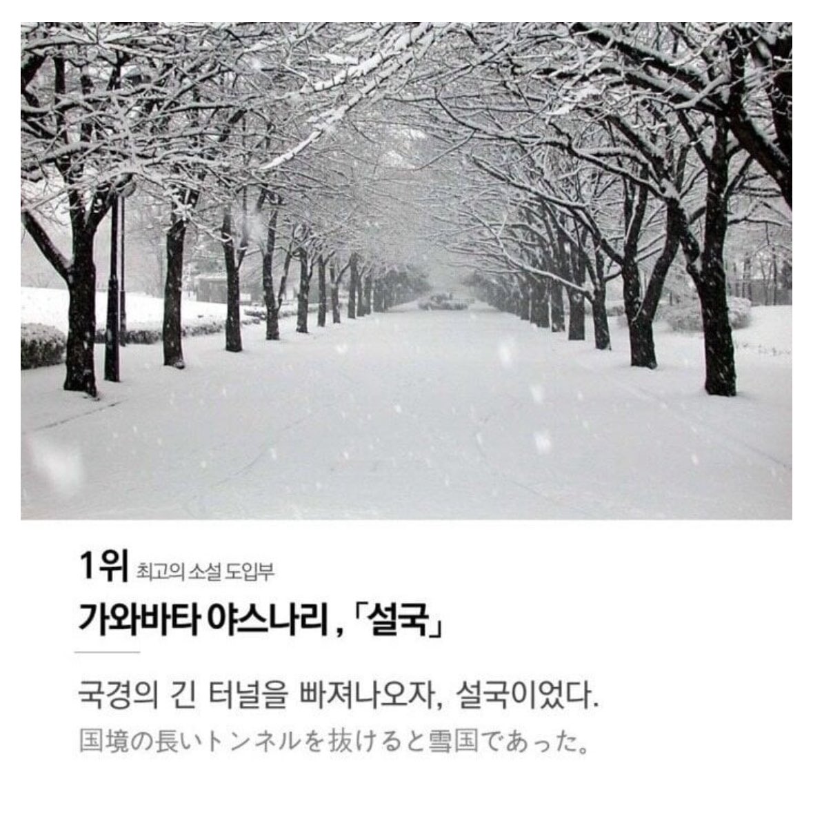 내가 좋아하는 도입부는 설국
국경의 긴 터널을 빠져나오자. 설국이었다.