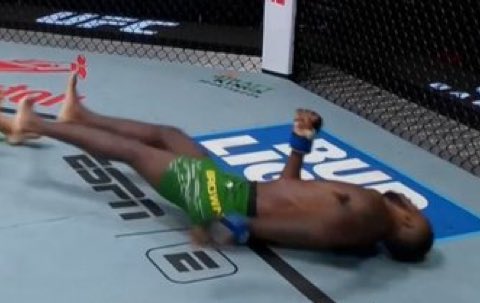 Mfs are looking at this and calling it an early stoppage 😭😭😭

Wtf are yall smoking #UFCVegas111