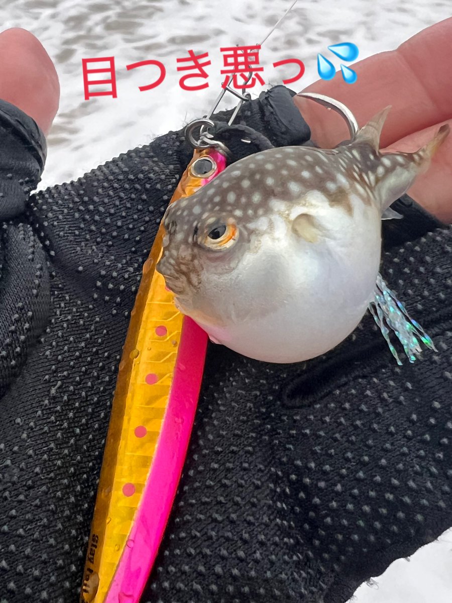 ☆Miyako☆ (@Miyako10069200) / Posts / X