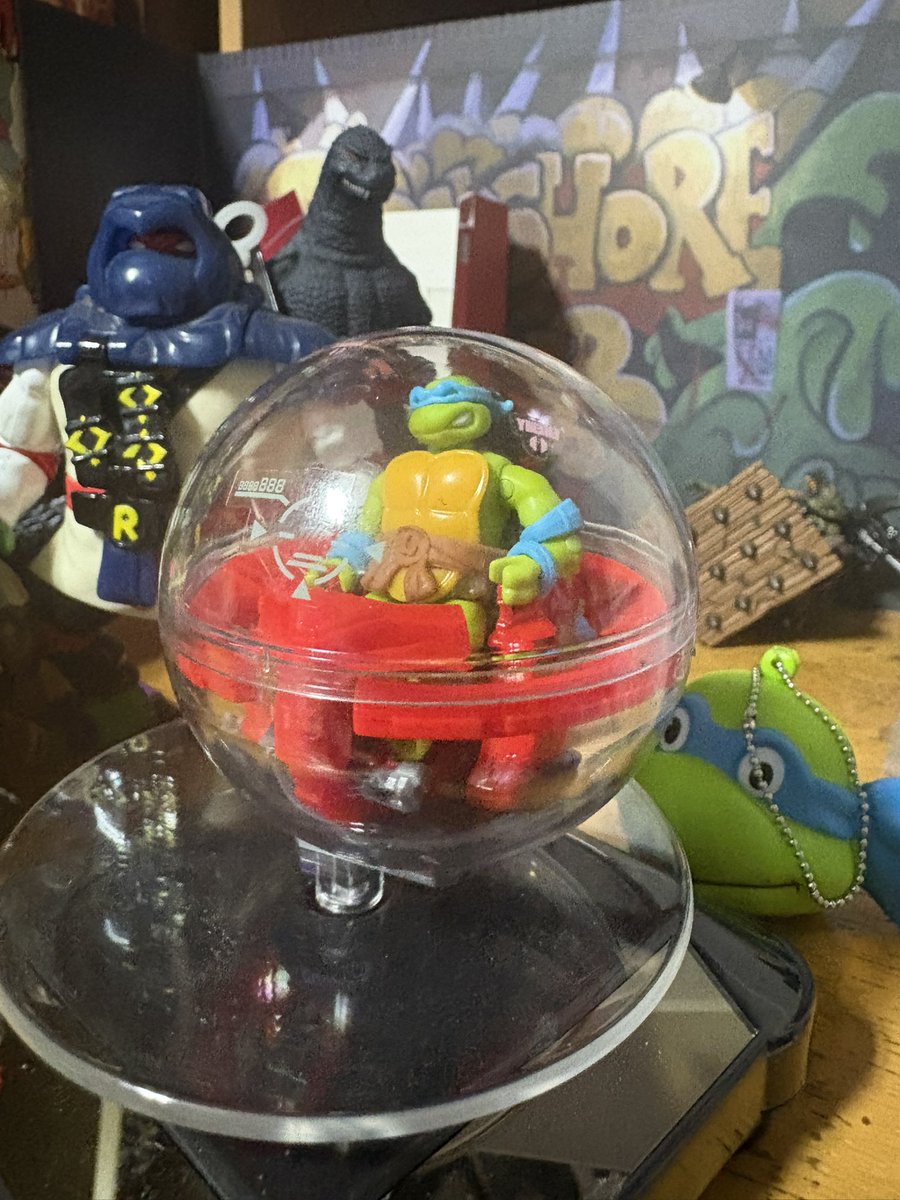 かめさん専用 カメさん専用 めめさん専用 Amazon | KN企画 スーパー