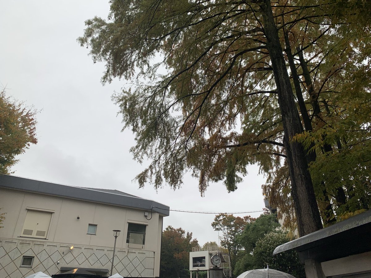 けいちゃん☄️ tweet media